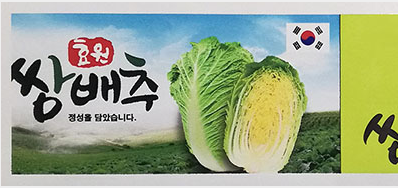 ��ɫ�߿������ӵ�и����ɫ�ʲ���