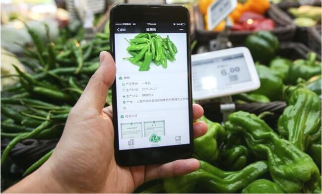 ʳƷ��׷�����ǰ�ȫ��ȫ��ָ�꣡
